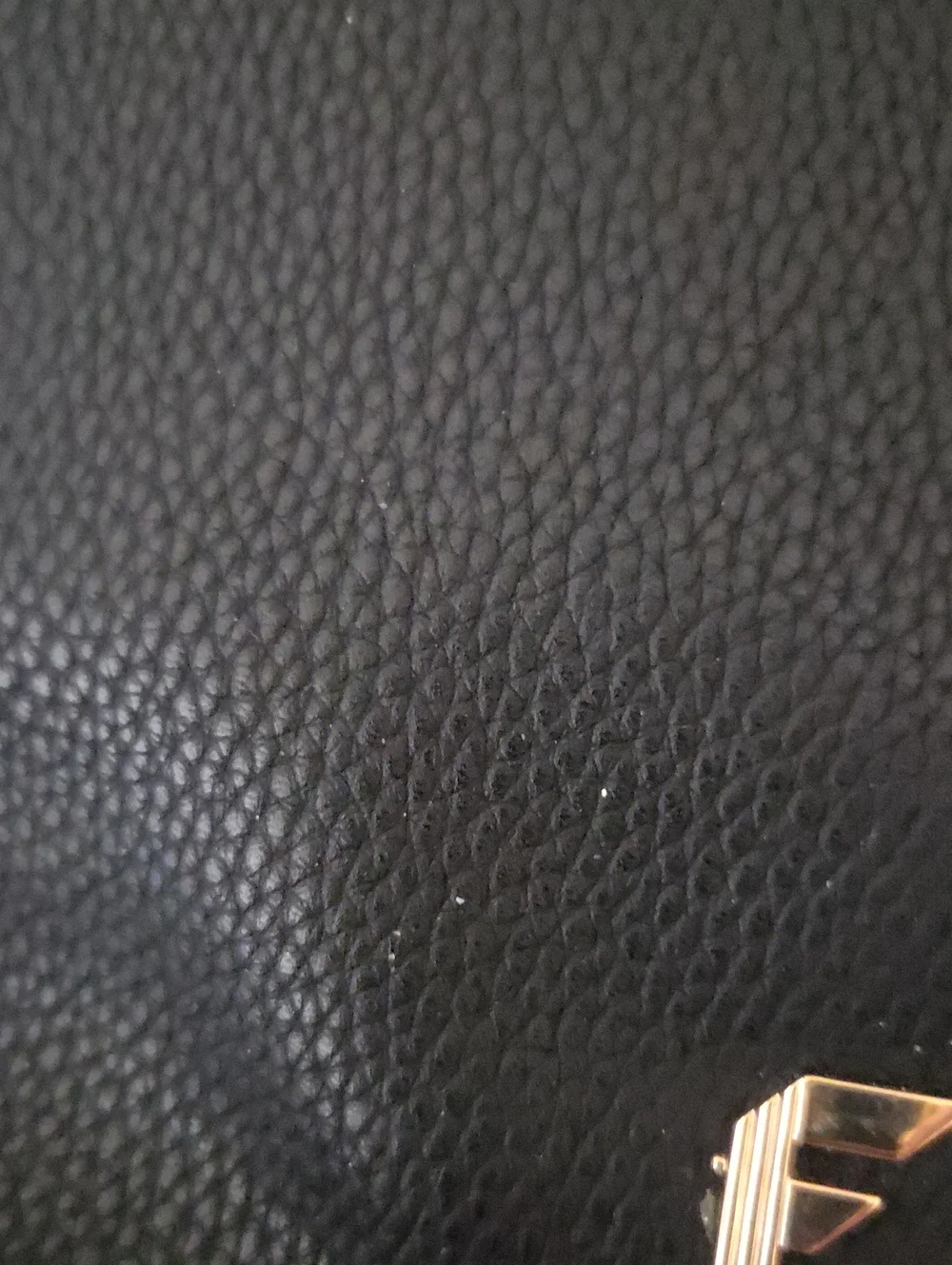 Giorgio Fiorelli Finn Backpack In Black